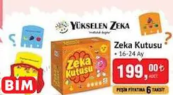 YÜKSELEN ZEKA ZEKA KUTUSU